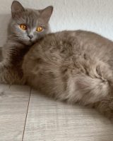 Acıbadem Escort — Acıbadem Escort Gamze, fotoğraf 4 / 4